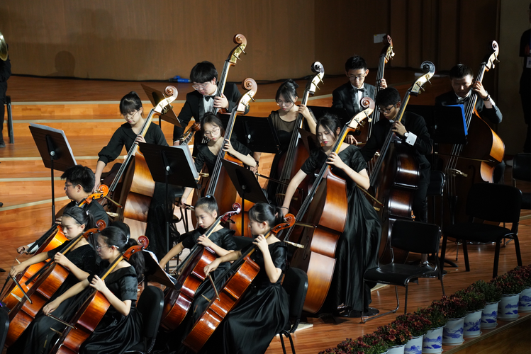 贵州贵阳音乐学校有哪些