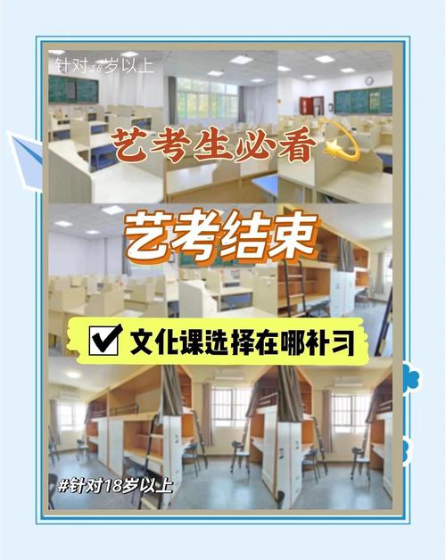 艺考的文化课考哪些学校