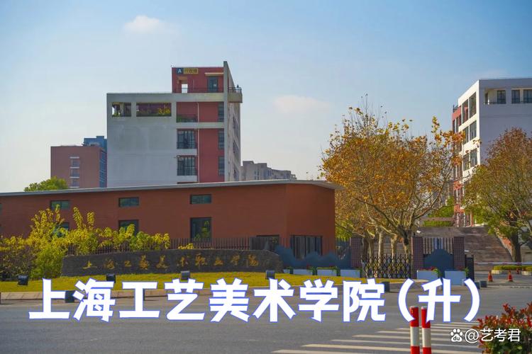 艺考再上海当地考的学校