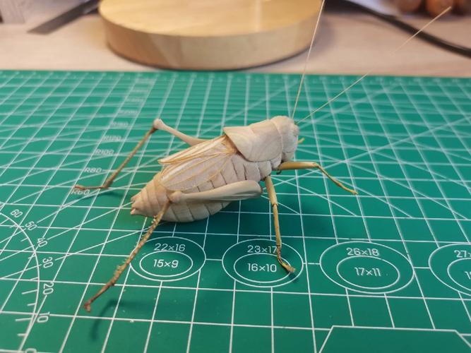 雕虫小技 石家庄 艺考