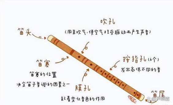 音乐美学基本性质和特点