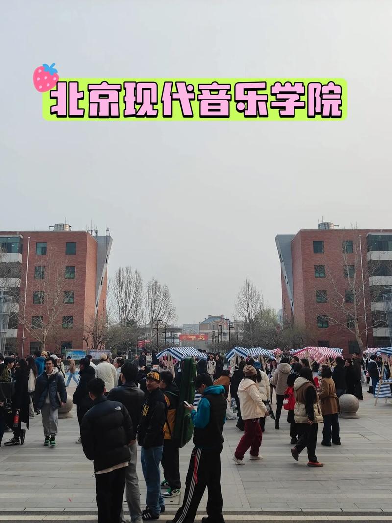 北京关于音乐教育的学校