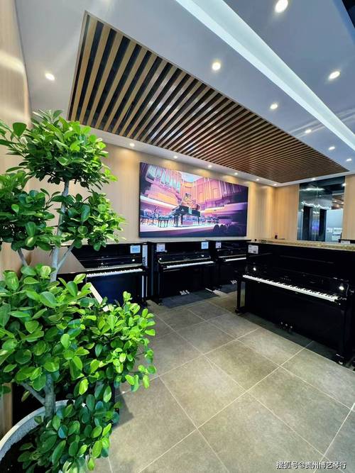 贵阳有哪些音乐培训中心