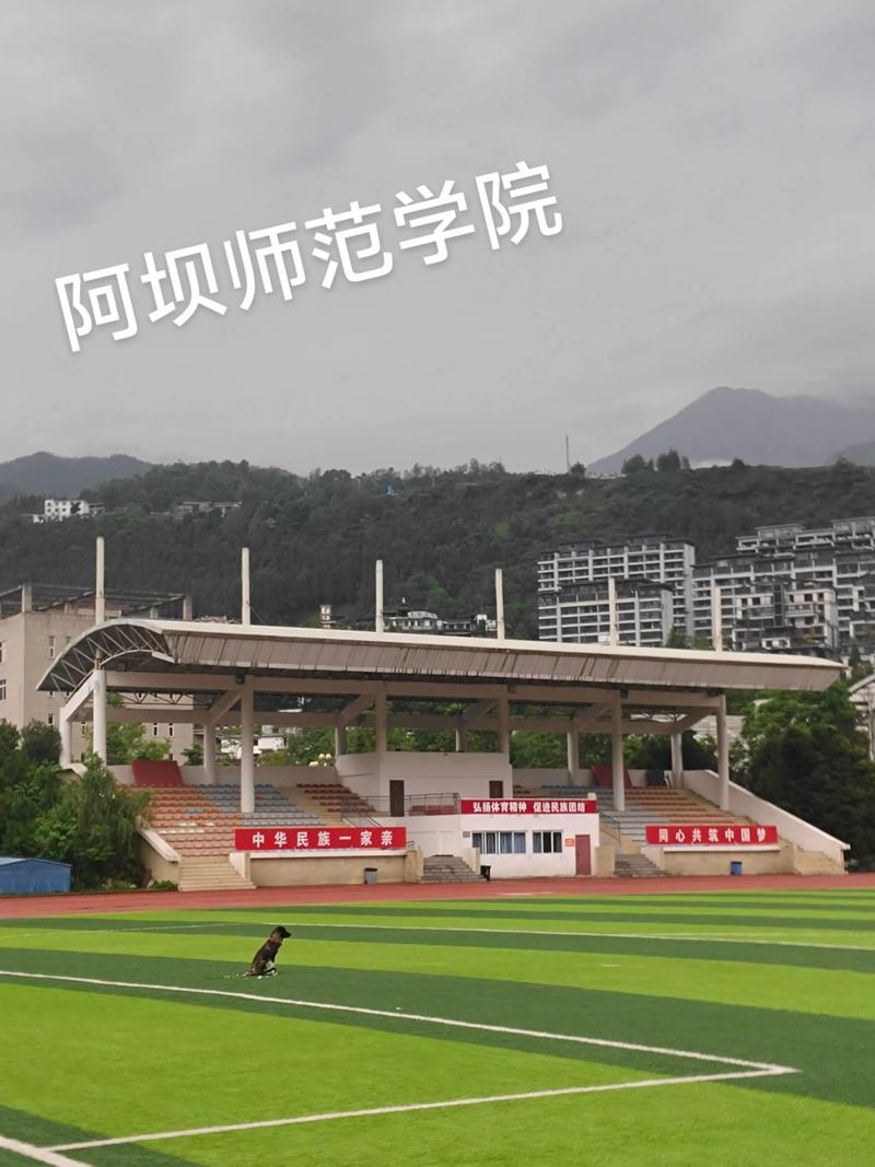 阿坝师范学院音乐学就业