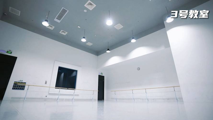 北京哪家舞蹈培训机构