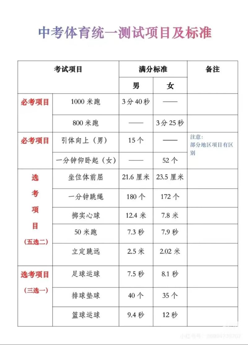石家庄中考艺考成绩查询
