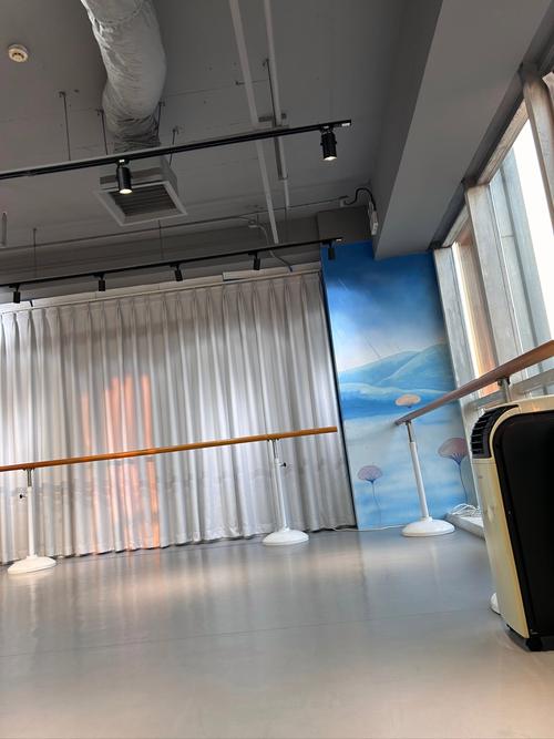 厦门翔安舞蹈集训机构