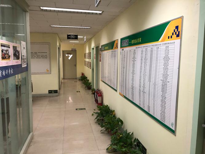 播音艺考培训机构有哪些