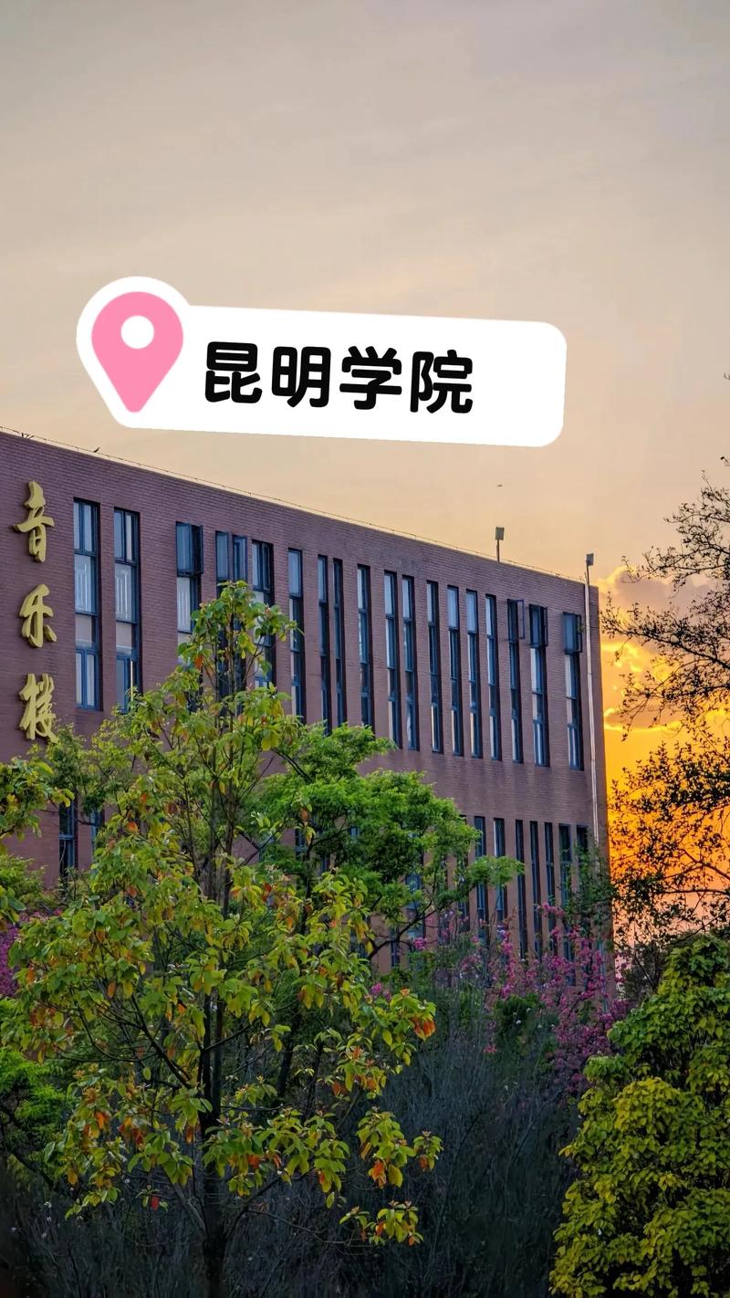 昆明音乐职业学校有哪些