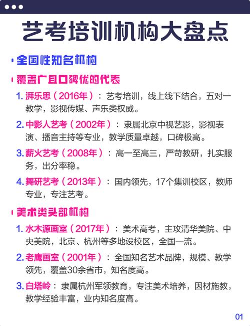 湃乐思艺考一对一学费