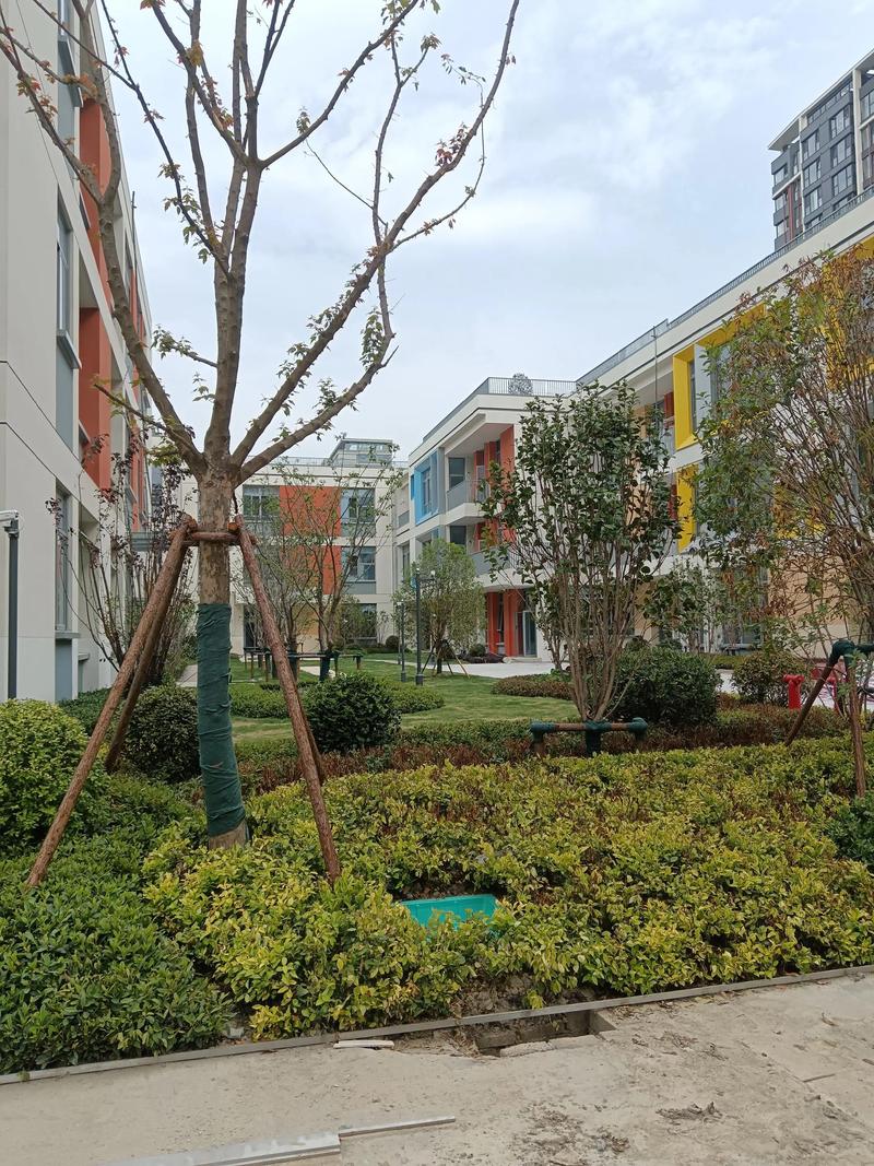 自贡舞蹈学校白果小区