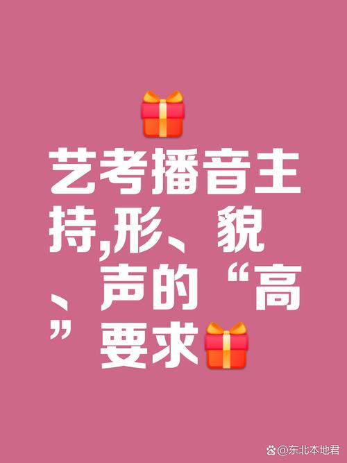 广播电视新闻学是艺考