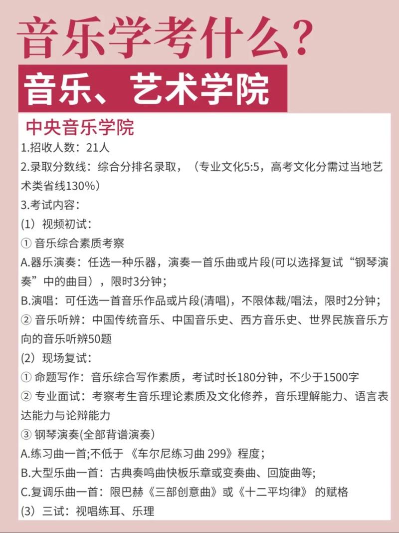 音乐艺考可不可以补考