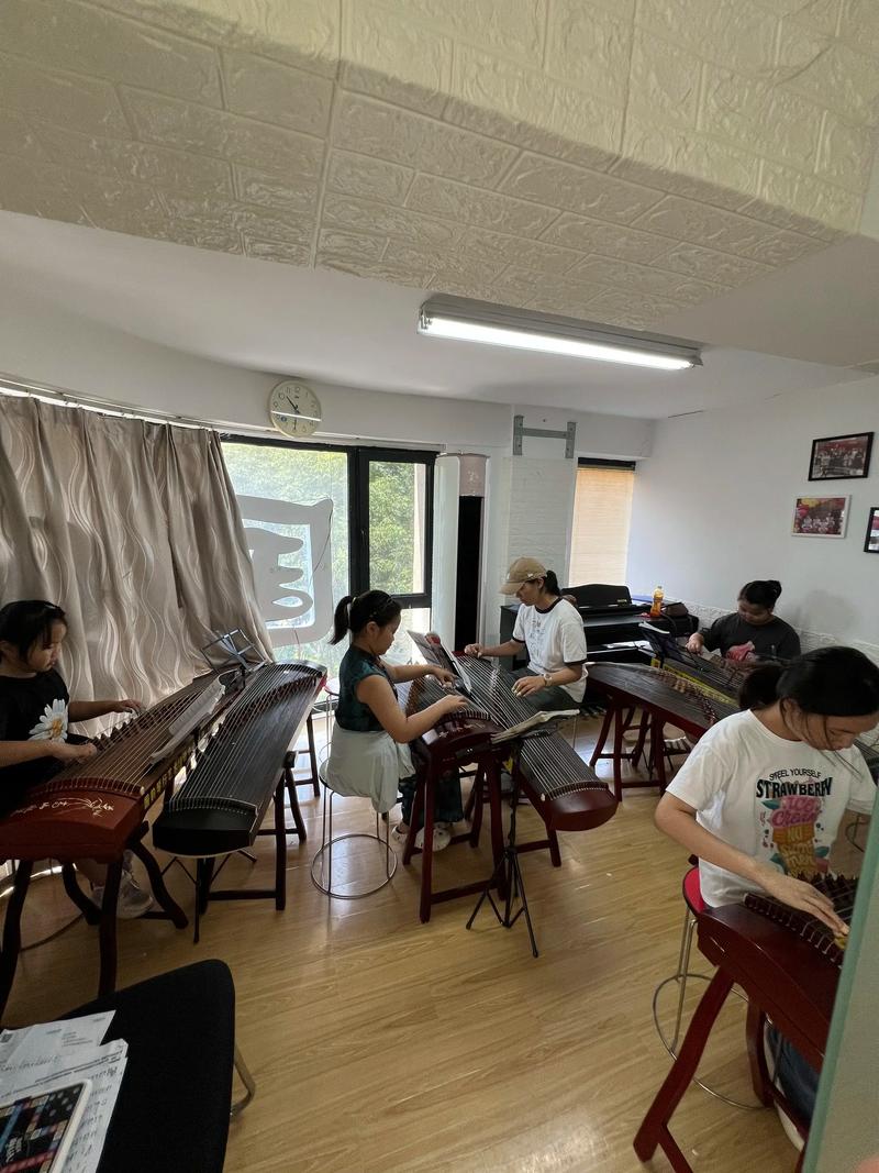 石家庄二胡艺考培训班