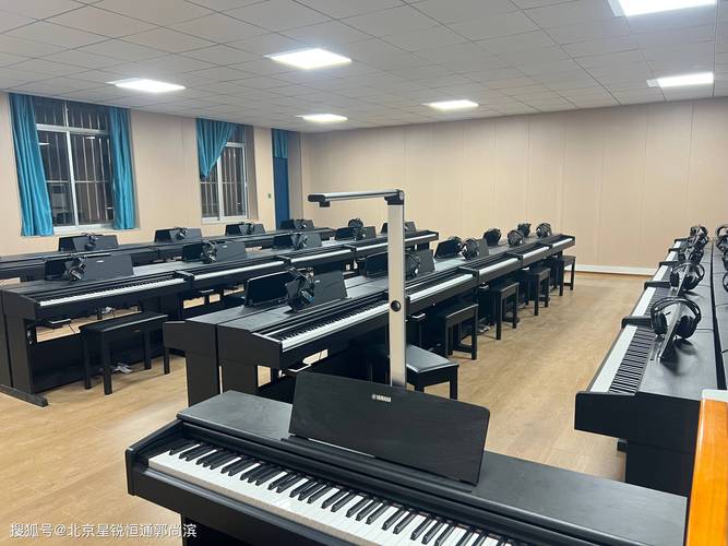 没有基础 学音乐 学校