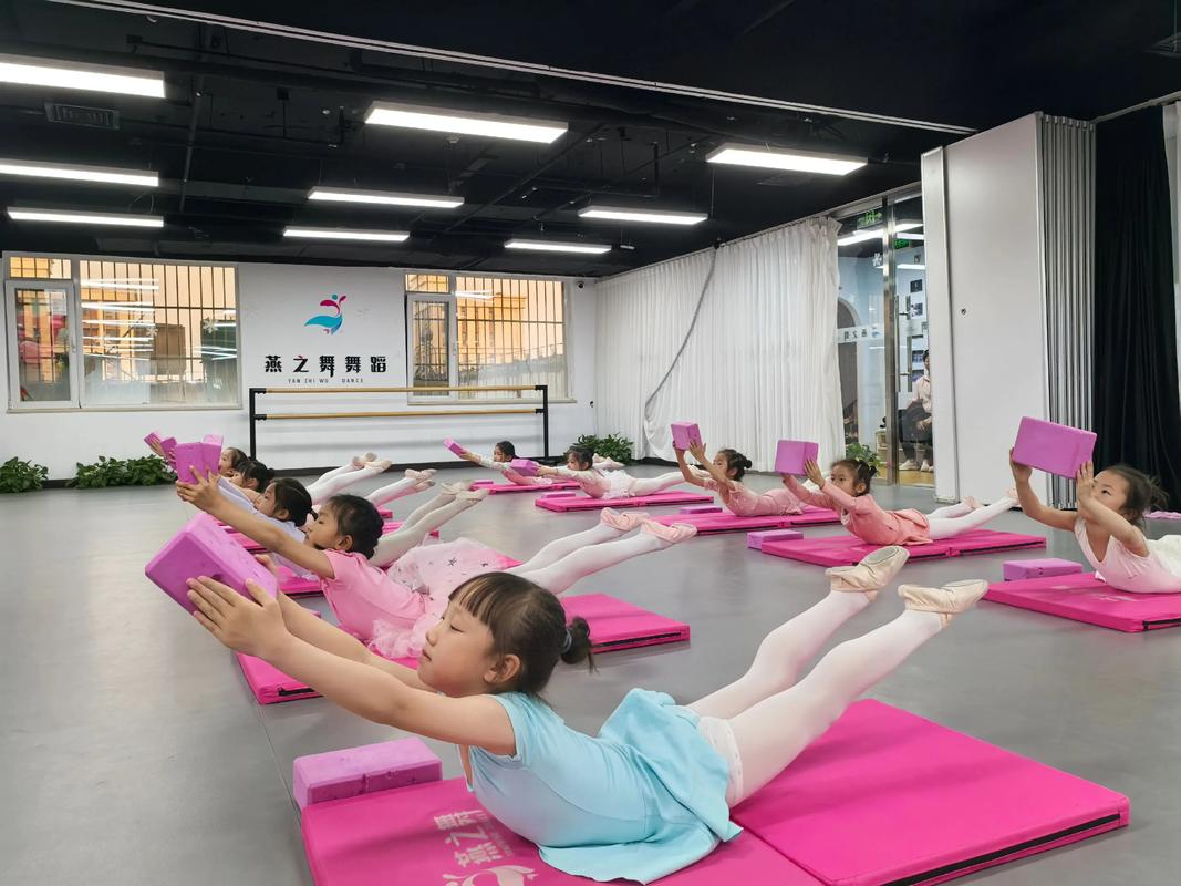 燕赵之星幼儿舞蹈大赛