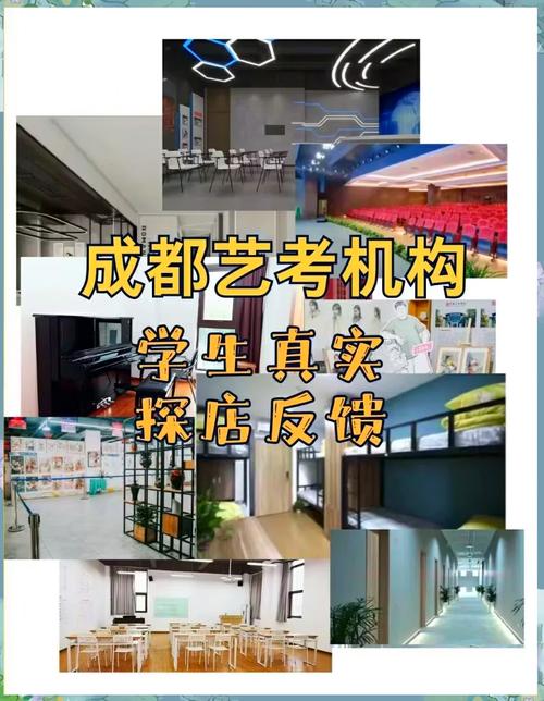 四川艺考的培训学校好