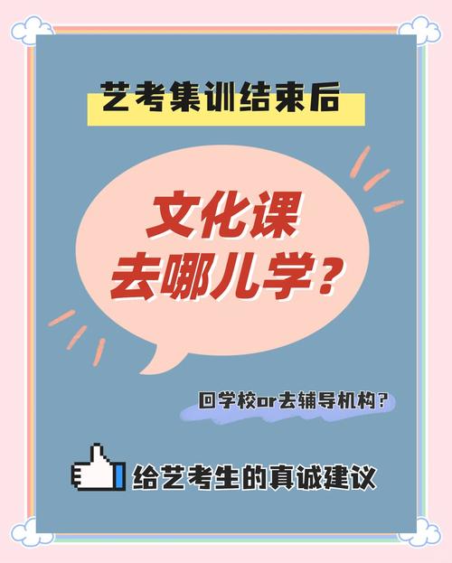 安阳市艺考文化课辅导