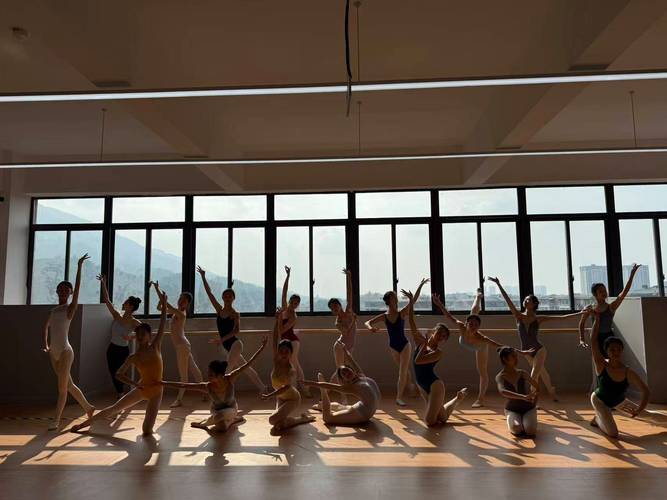 高考舞蹈寒假培训机构