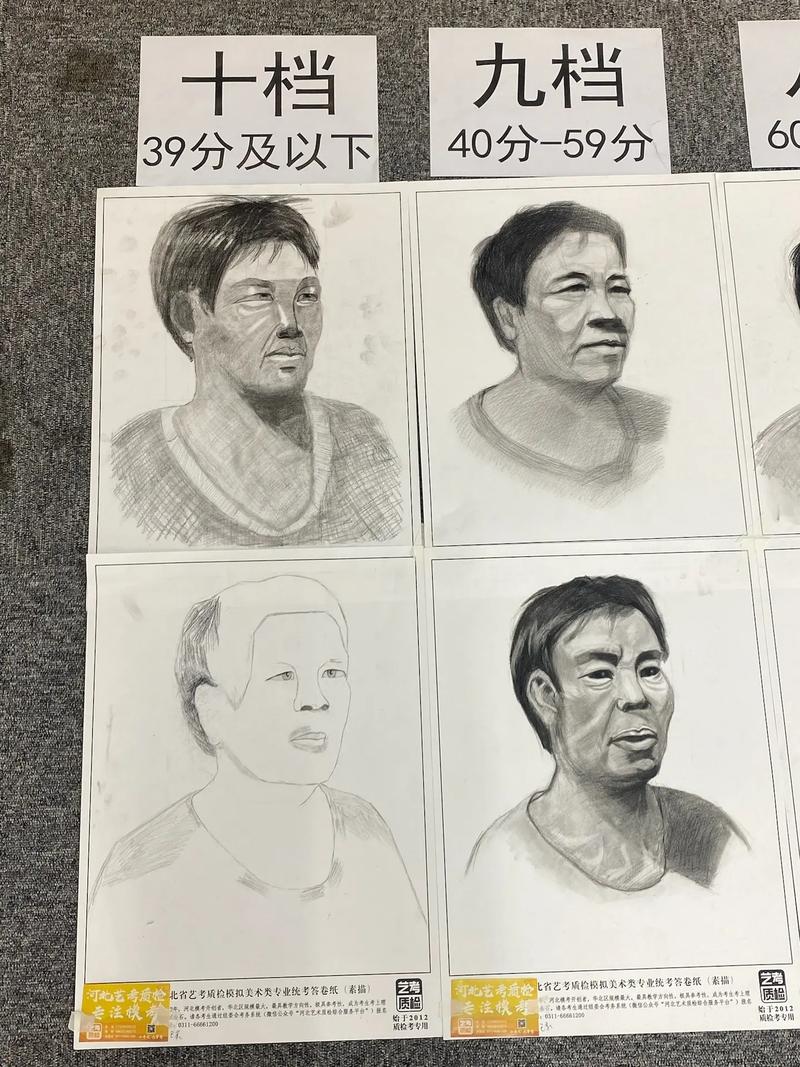 河北美术生文化255