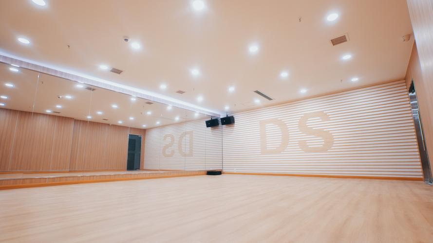 武汉单色舞蹈培训位置