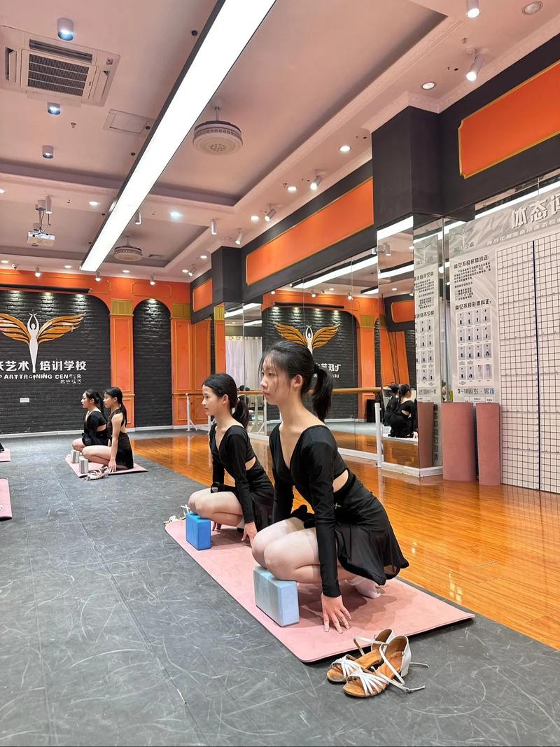 惠州小金舞蹈培训学校