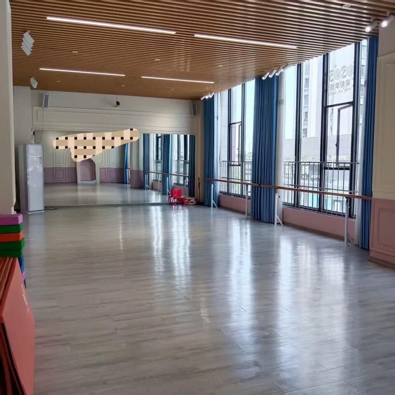 成都天 舞蹈培训学校