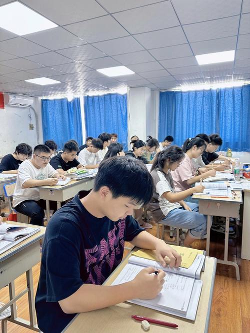 艺考文化课培训班漯河