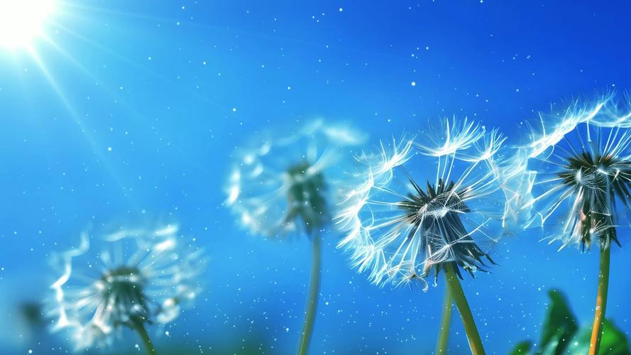 演讲适用的背景抒情音乐