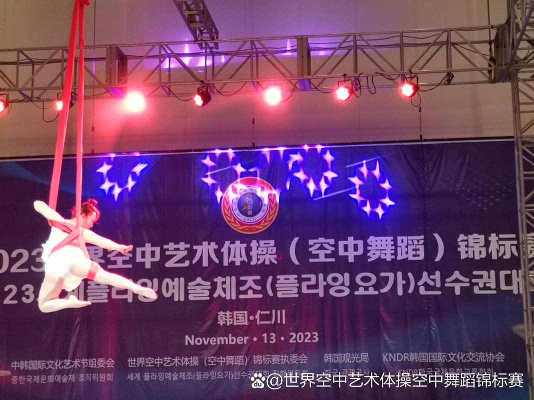空中舞蹈艺术连锁学院