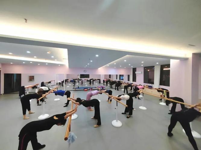 武汉少儿舞蹈机构排名