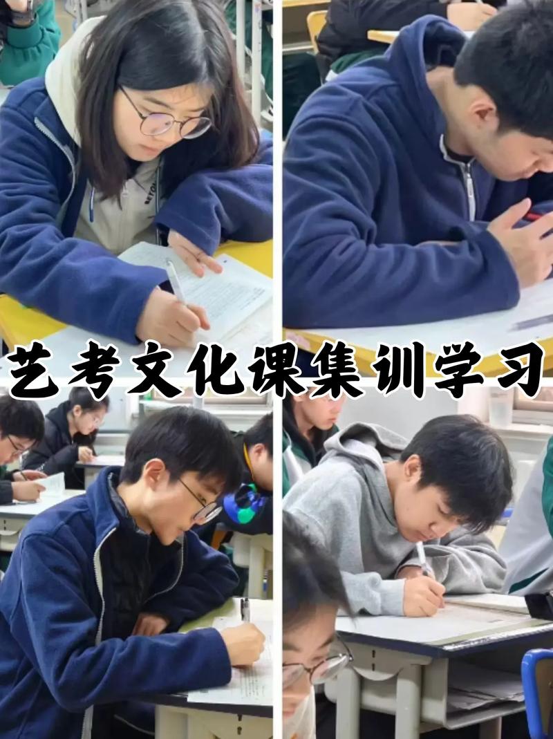 艺考生的文化课要考啥