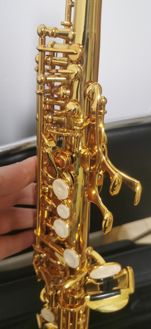 湖南长沙音乐学院萨克斯