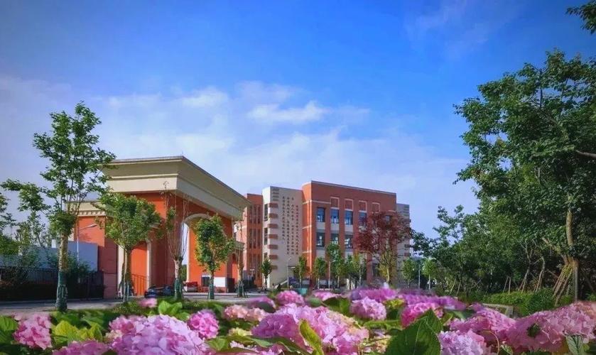 花溪清华中学有艺考吗