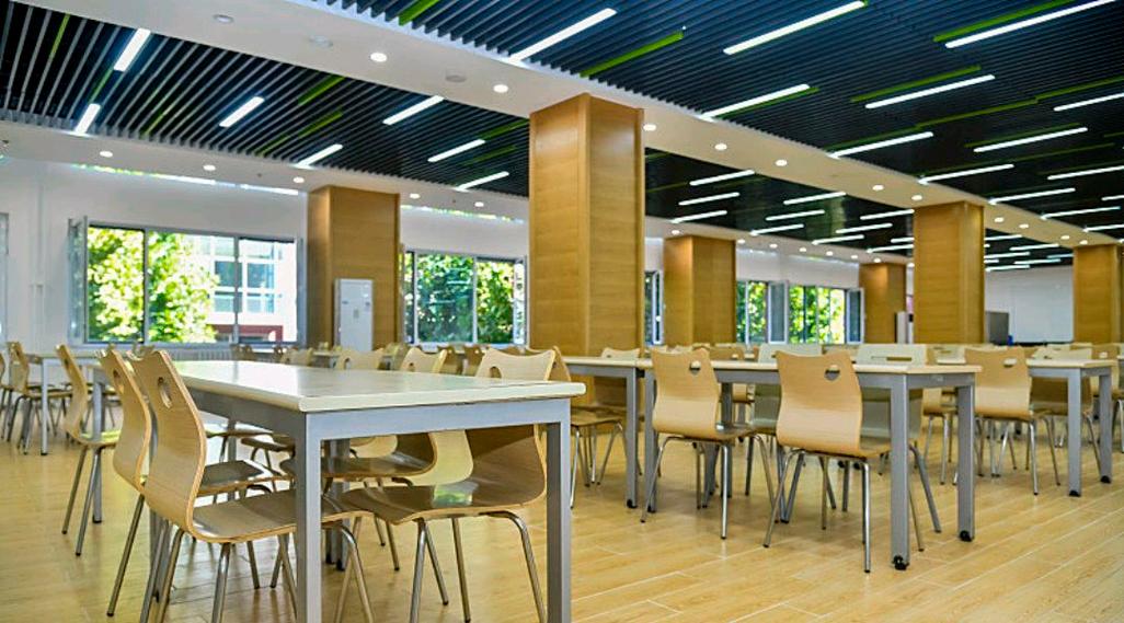 青岛新东方艺考文化课