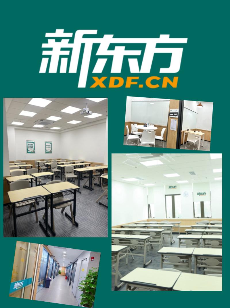 新东方艺考是怎么回事