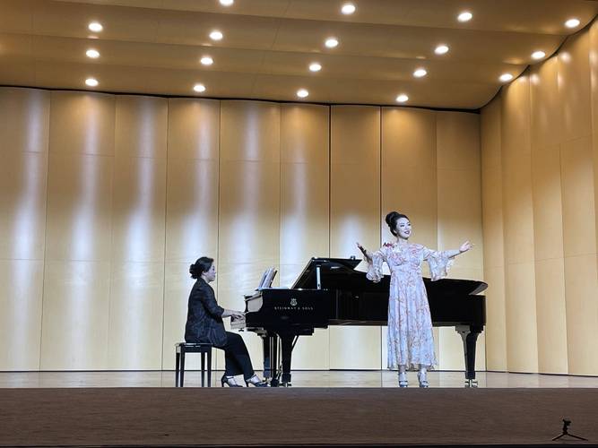 专升本重庆音乐表演学校