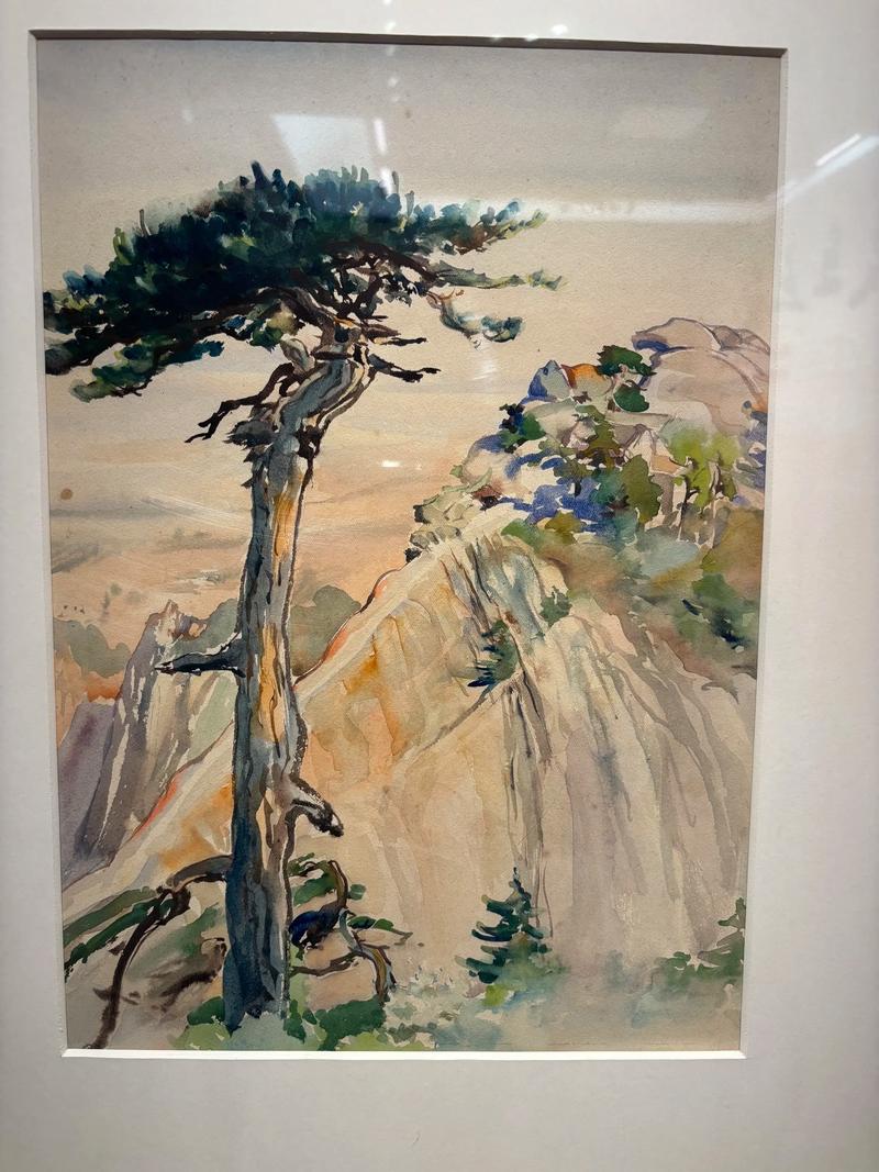 美术培训中心画展介绍