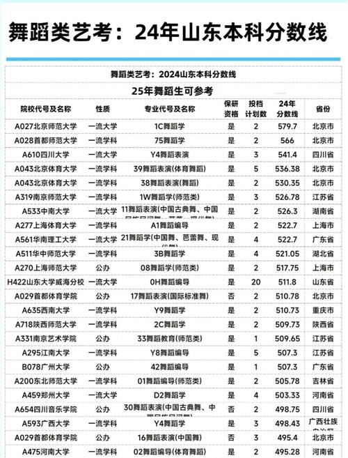 艺考加换算分的分数线