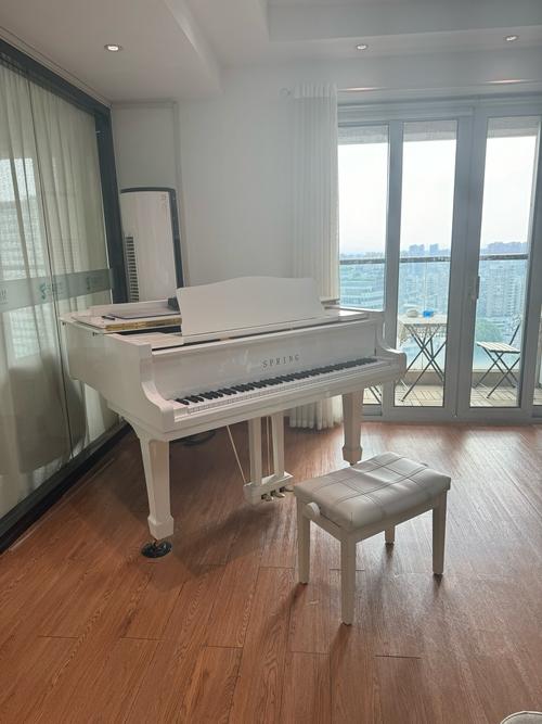 中央音乐学院 成人钢琴