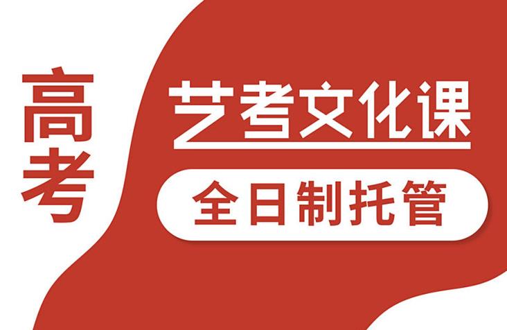 石家庄成达艺考文化课