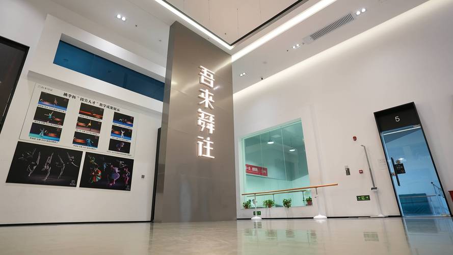 北京艺考文化课集训班