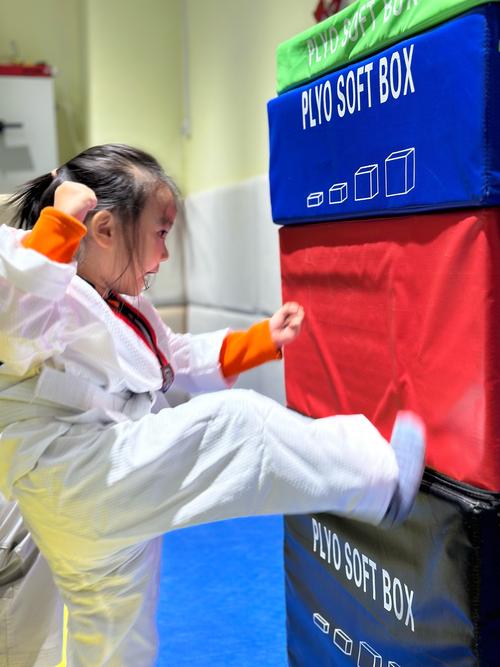 跆拳道属于艺考类的吗