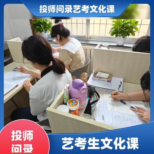 临沂艺考文化课辅导班