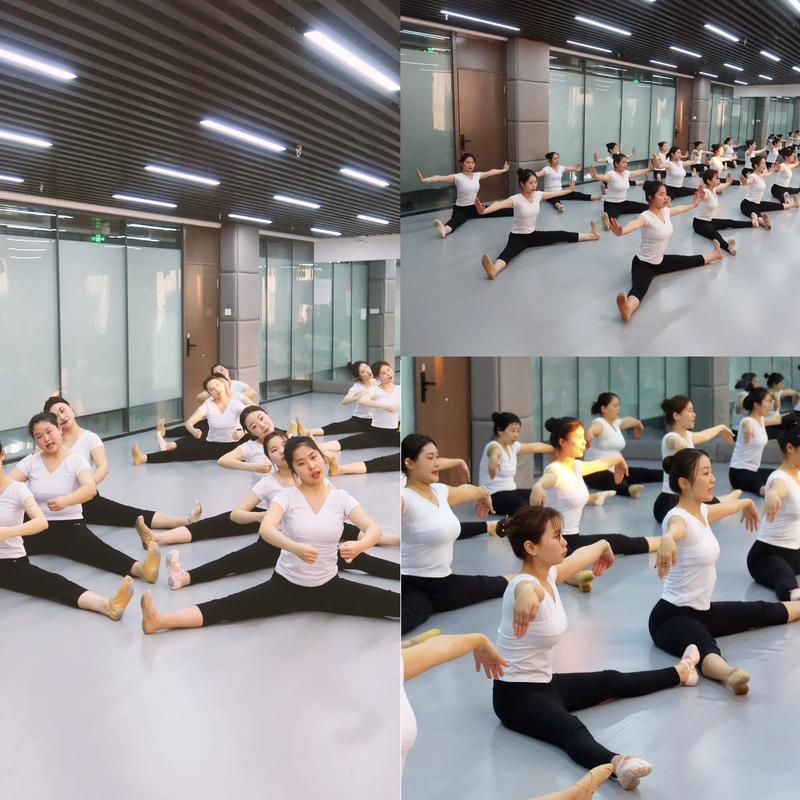 参加舞蹈师资培训目的