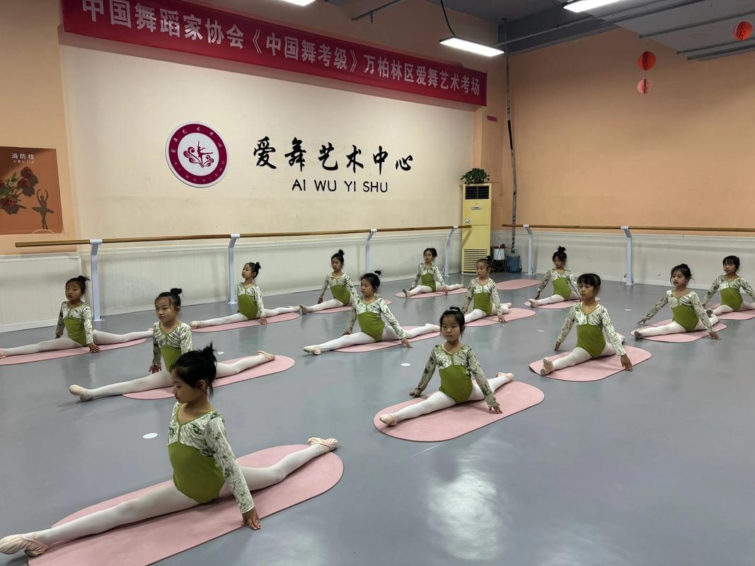 吉首少儿舞蹈培训学校