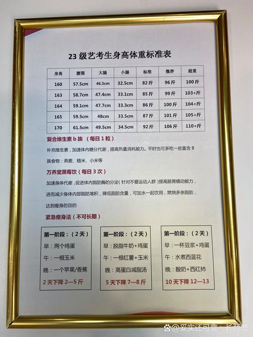 艺考模特专业身高要求