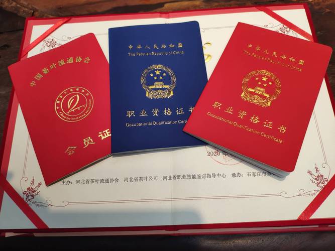 大卫美术教育任教资格