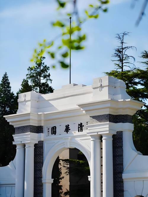 清华北大有音乐系的吗