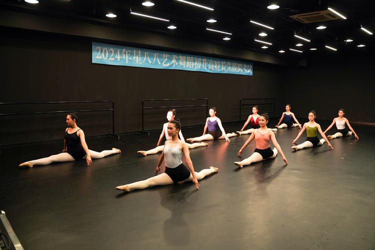 高中舞蹈艺考培训班一